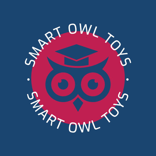 Smart Owl Toys